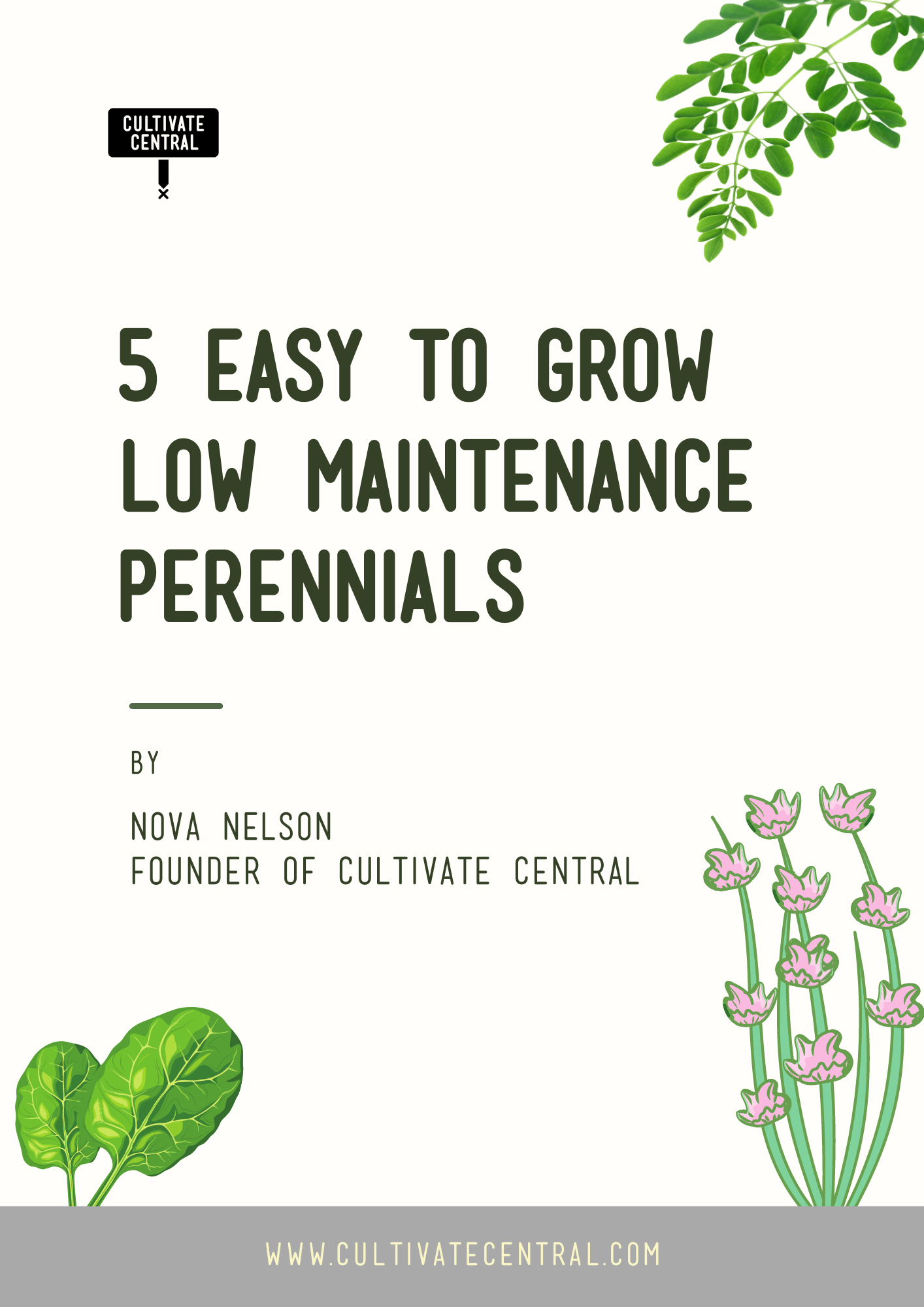 5 easy to grow perennials